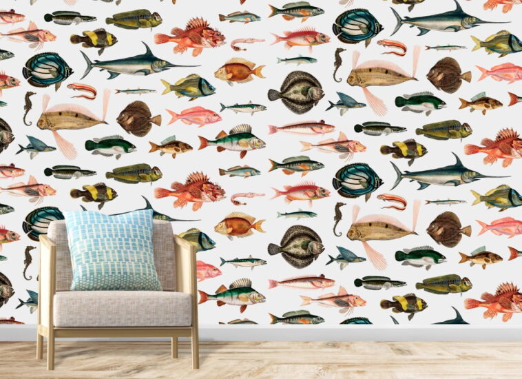 different breeds of fishes on white background wallpaper