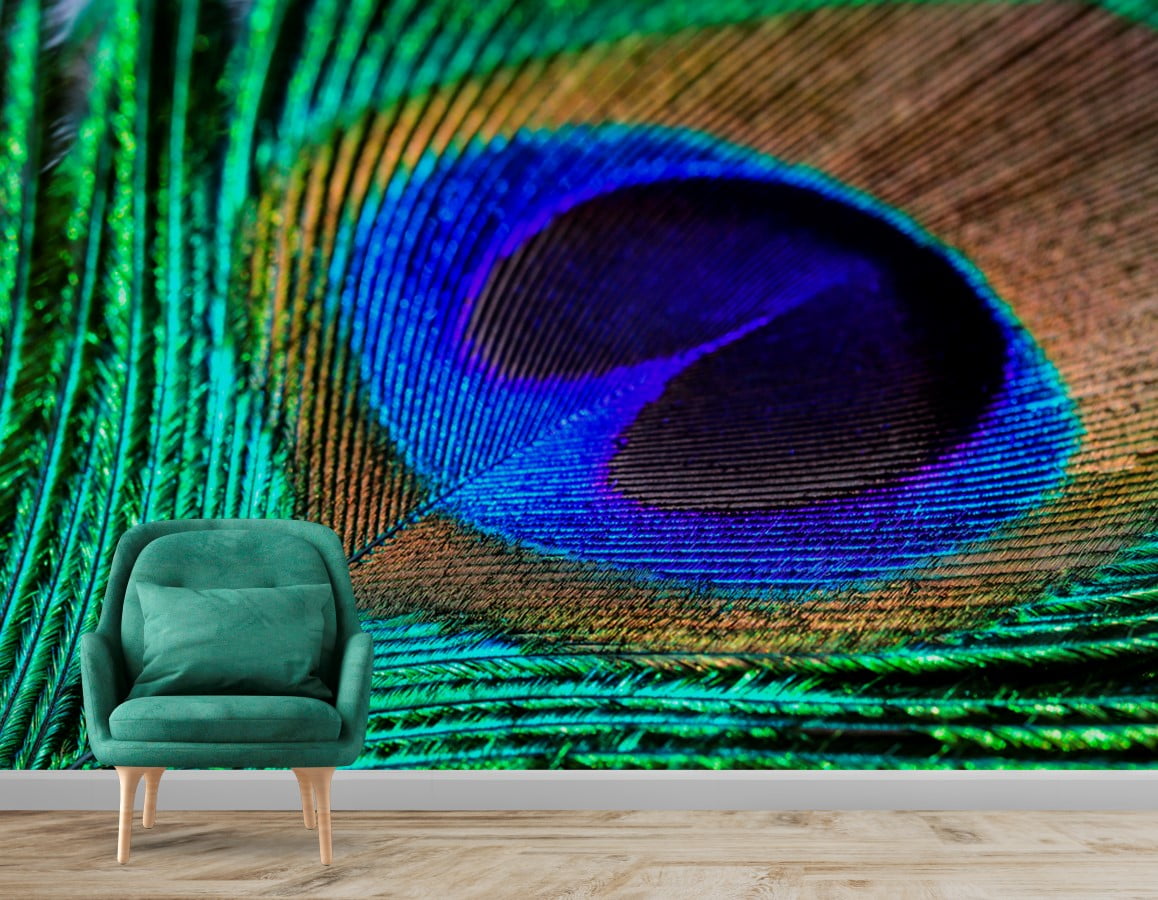 Colorful Peacock Feather Abstract Luxury Design Wallpaper