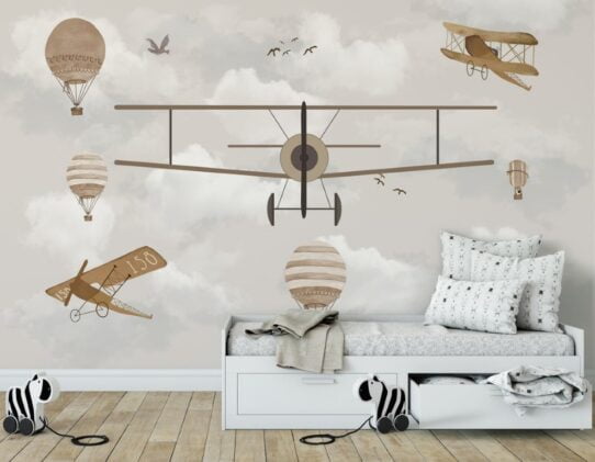 Biplane Planes Wall Murals Wallpaper
